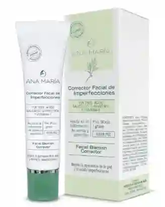Ana Maria Corrector De Imperfecciones 15g