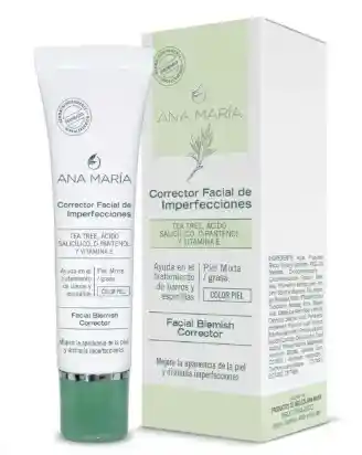 Ana Maria Corrector De Imperfecciones 15g