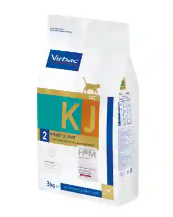 Kidney Joint Cat #2 Step 2: Renal Insufficiency Osteoarthritis