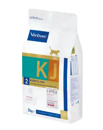 Kidney Joint Cat #2 Step 2: Renal Insufficiency Osteoarthritis