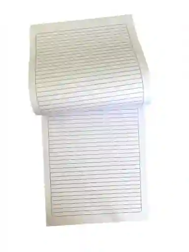 Block Carta Rayado Diseño Surtido 70 Hojas