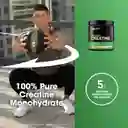 Creatina Monohidratada Optimun Nutrition 60 Serivcios