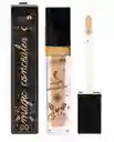 Corrector Profesional Magic Grande