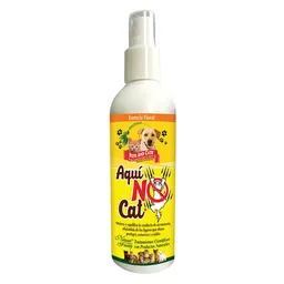 Aqui No Cat 240 Ml