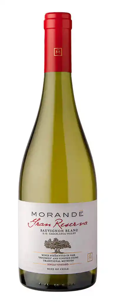 Vino Morandé Gran Reserva Sauvignon Blanc 750 Ml