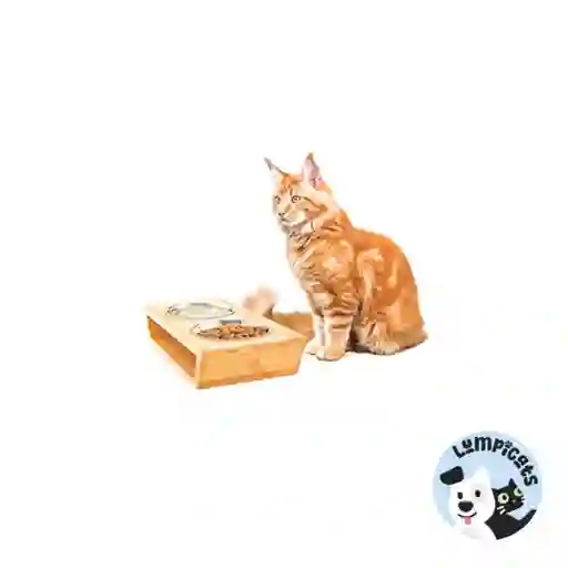 Platero Premium En Pino Para Gatos