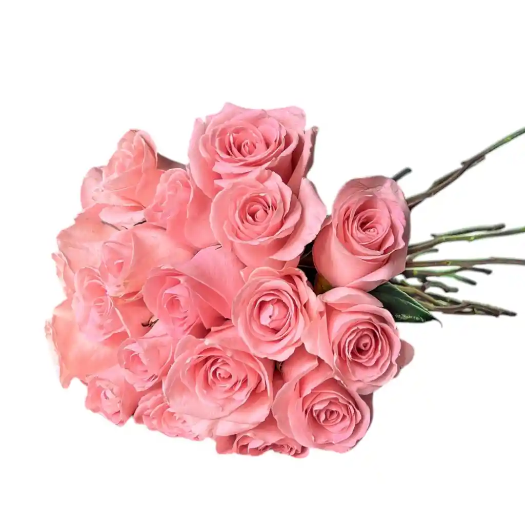20 Rosas Rosadas