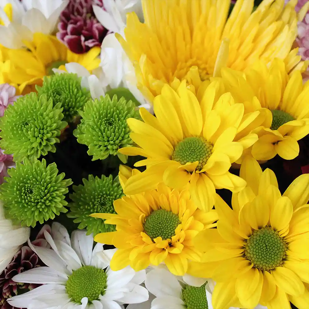 Bouquet Primavera