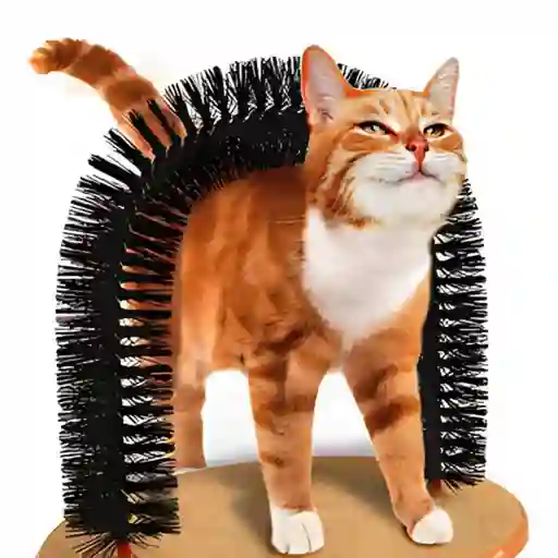 Rascador En Forma De Arco Para Gatos