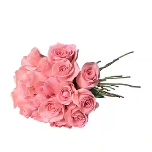 Docena De Rosas Rosadas
