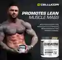 Creatina Monohidratada Cellucor 72 Servicios
