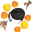 Correa Perro Gato Entrenamiento Larga Mascota Paseo Tira 10m