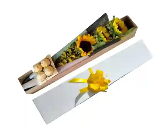 Caja De 3 Girasoles Y Chocolates