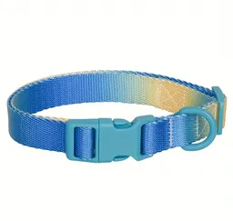 Collar Para Perro - Gradient Azul Amarillo - Talla L