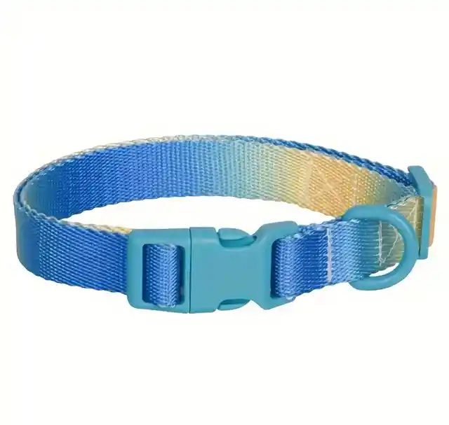 Collar Para Perro - Gradient Azul Amarillo - Talla L