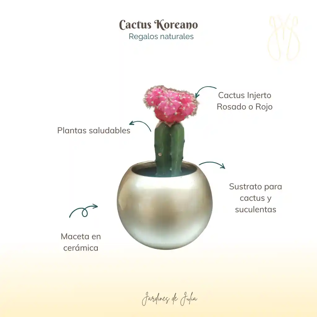 Cactus Koreano