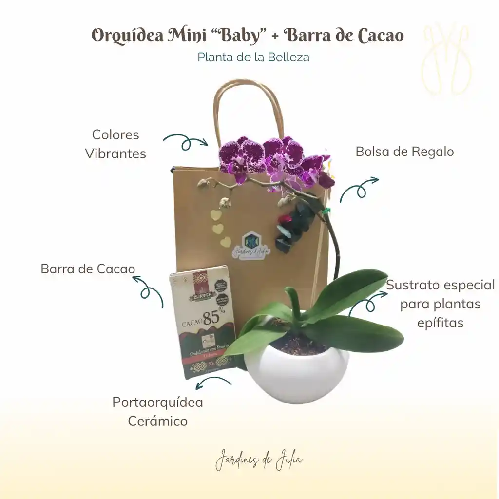 Orquídea Baby Con Barra De Cacao