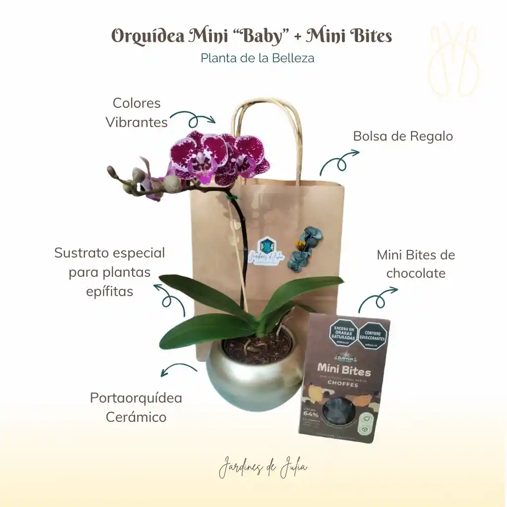 Orquídea Baby Con Minibites