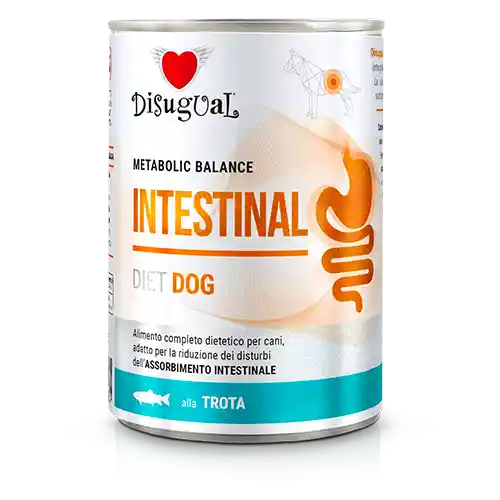 Disugual Lata Dog Intestinal Trucha 400 Gr