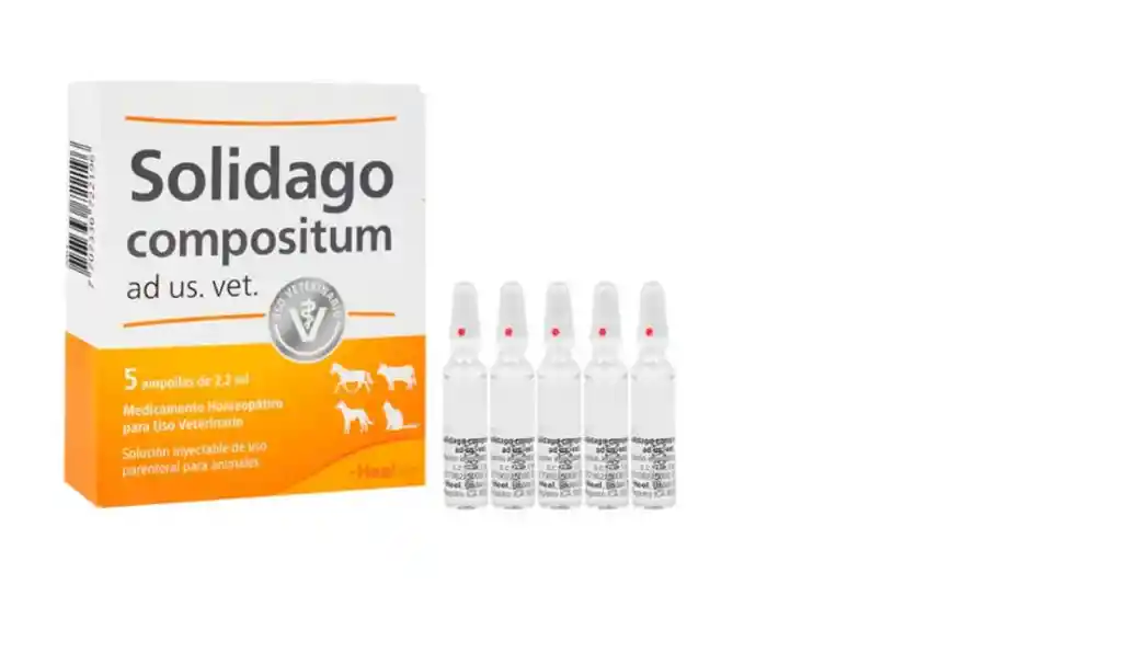 Solidago Compositum (precio Por Ampolla) - Unico