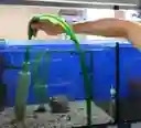 Manguera Sifoneadora Grava Acuario Aspiradora Sifonado Sifon