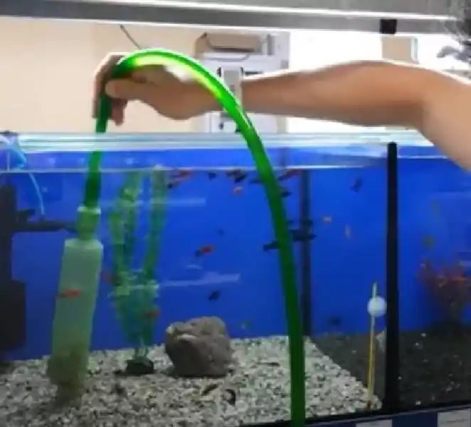Manguera Sifoneadora Grava Acuario Aspiradora Sifonado Sifon