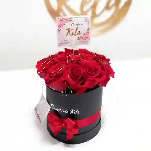 Jardín Princesa Negro