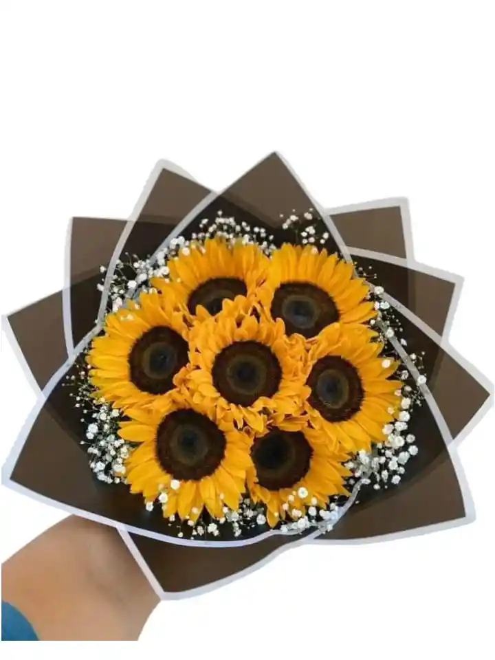 Lluvia De Girasoles