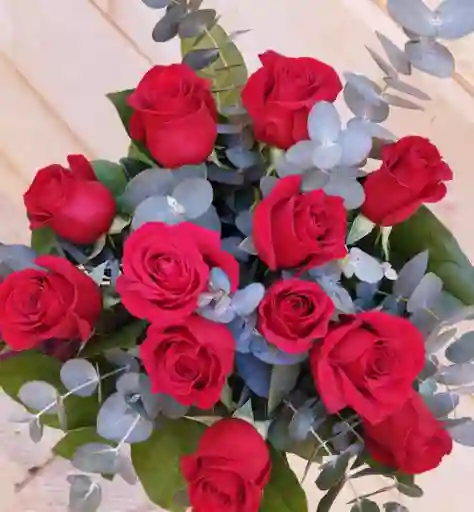Rosas Lux