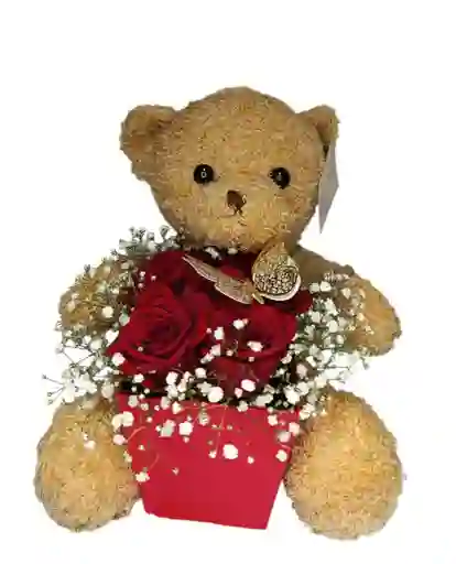 Oso Y Rosas Regalos Dia De La Mujer