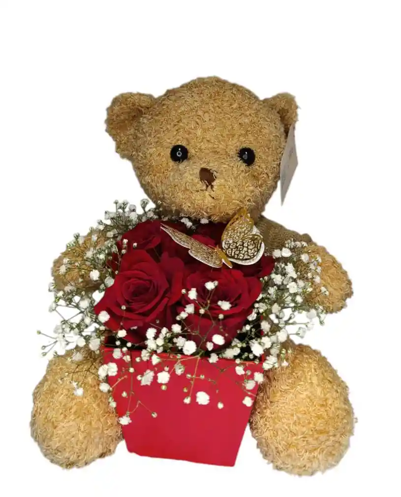 Oso Y Rosas Regalos Dia De La Mujer
