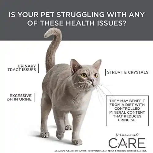 Diamond Care Urinary Adult Cat 1kg