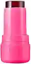 Ministar Rubor En Gel 04 Berry