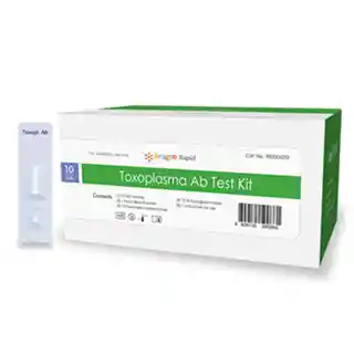 Rapid Test Kit Bionote (toxoplasma Ab Test Kit)