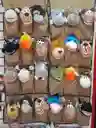 Titeres De Peluche Animales