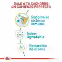 Royal Canin Chihuahua Cachorro 1.14 Kg