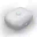 Audifonos Bluetooth Motorola Motobuds Celeste Ilusion	
