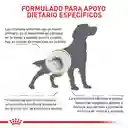 Royal Canin Urinary So Perro 3 Kg