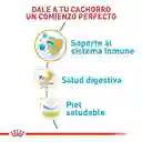 Royal Canin Bulldog Francés Cachorro 1.37 Kg