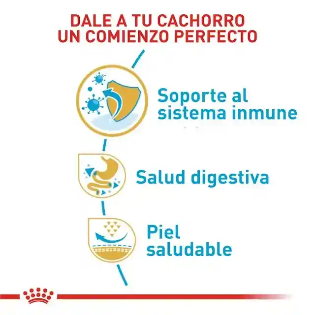Royal Canin Bulldog Francés Cachorro 1.37 Kg