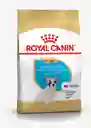 Royal Canin Bulldog Francés Cachorro 1.37 Kg