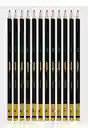 Set Lapices Graduado Estuche Metalico