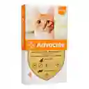 Advocate Topico Gatos - Hasta 4 Kg