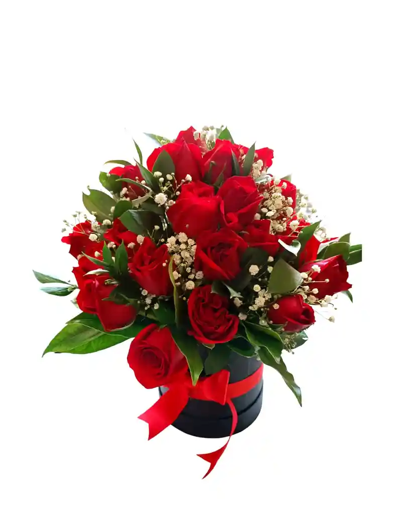 Caja De 24 Rosas