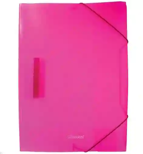 Carpeta Liga Surtida/primavera