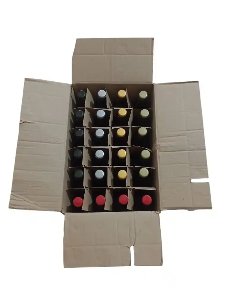 Caja De Veinticuatro Cervezas Artesanales Surtidas