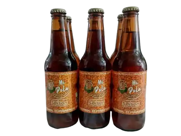 Paquete De Seis Cervezas Artesanales Saison