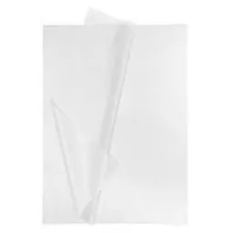 Papel Seda Blanco X5und