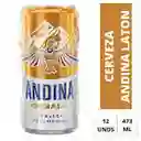 12 Pack De Cerveza Andiana Laton