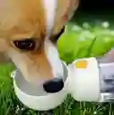 Botella De Agua Para Perros Portátil Con Botón